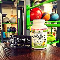 NATURE'S BRANCH FISH OIL OMEGA 3