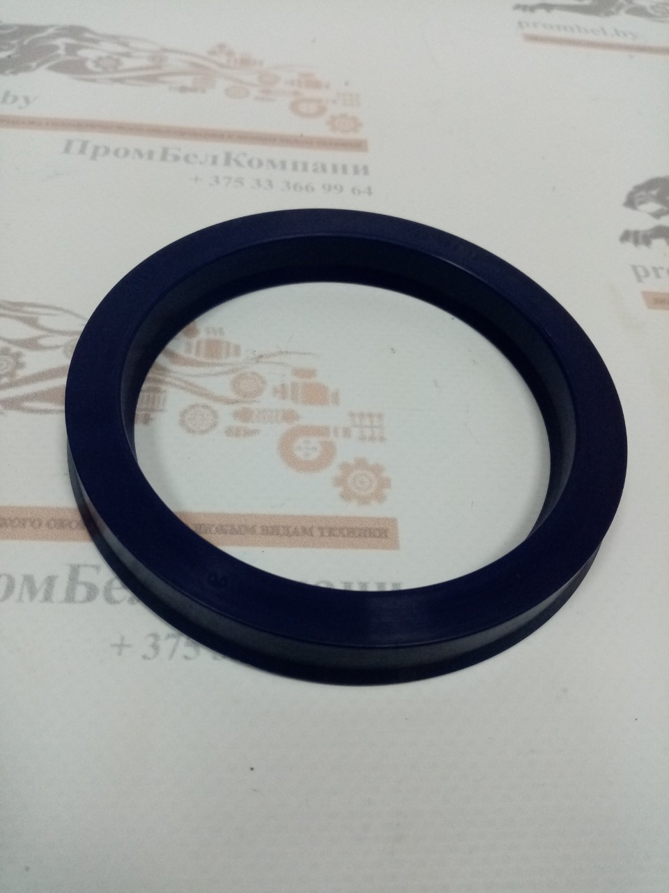 Уплотнение штока RSA 100х120х15