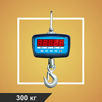 Крановые весы ВСК-300А