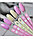 Siller Color Base №7 — камуфлирующая цветная база (пурпурно-розовая), 8мл, фото 2