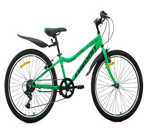 Двухколесный велосипед FAVORIT, модель FOX 24 " V,FOX24V12GN - фото 1 - id-p173992345