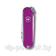 Нож складной Victorinox Tasty Grape 0.6223.52G