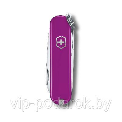 Нож складной Victorinox Tasty Grape 0.6223.52G - фото 1 - id-p174042763