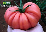 Томат Пинк Кой F1, семена, 5 шт., Турция, (чп), фото 4