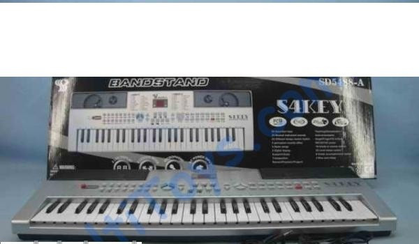 Синтезатор от сети BANDSTANG , 54 клавиши, микрофон,SD5488-A ,Минск - фото 2 - id-p20971323