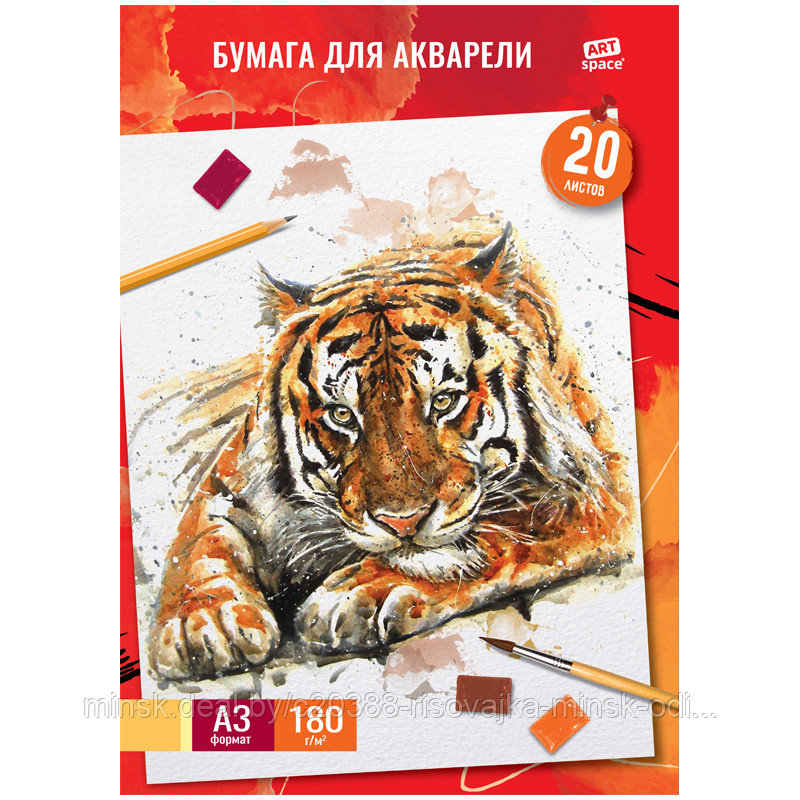 Папка для акварели 20л. А3, ArtSpace "Тигр", 180г/м2