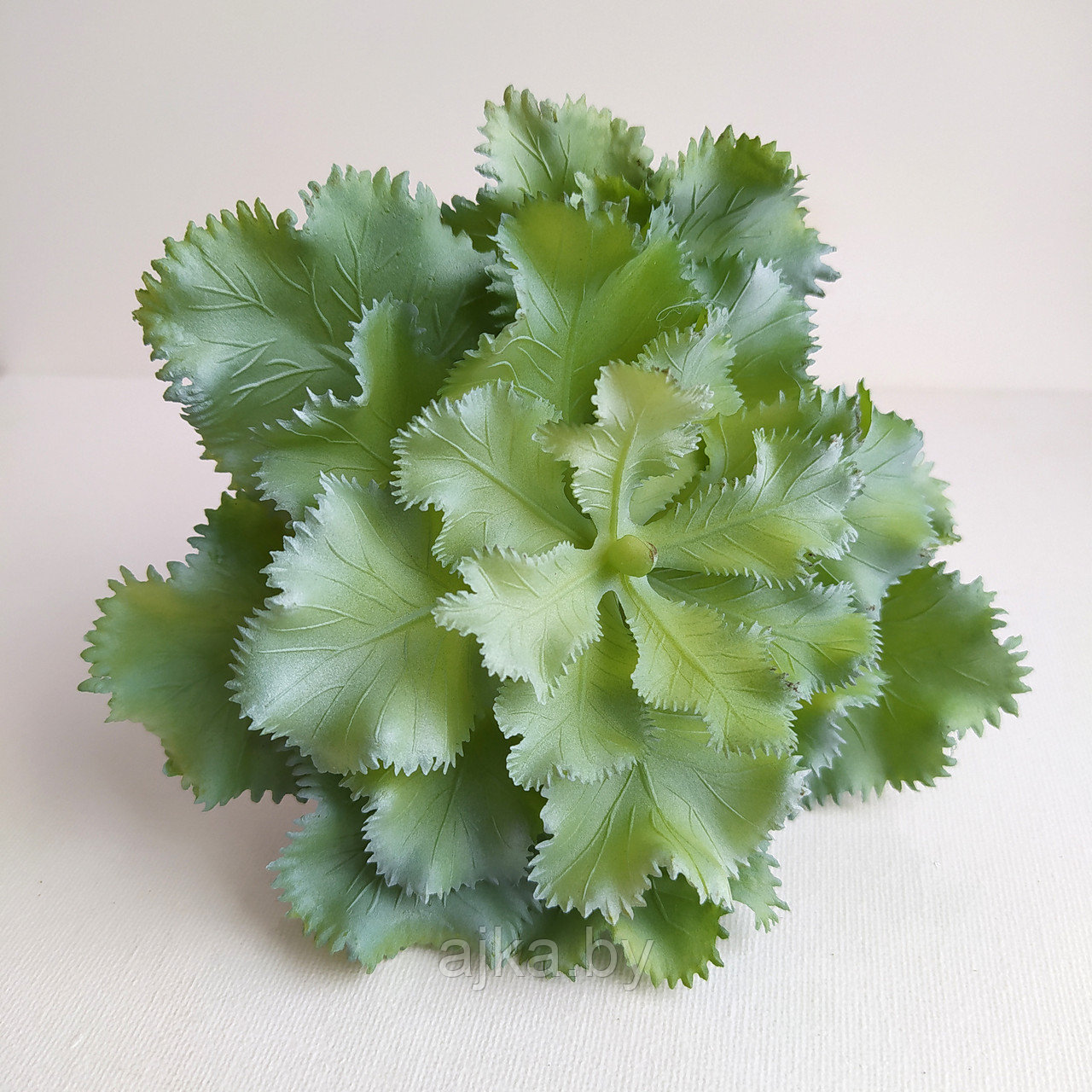 Суккулент искусственный Эхеверия волнистая 16 см, серо-зеленый - фото 1 - id-p174238514