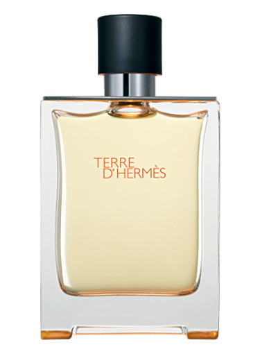 Мужские духи Terre d'Hermes 100ml - фото 2 - id-p174278816