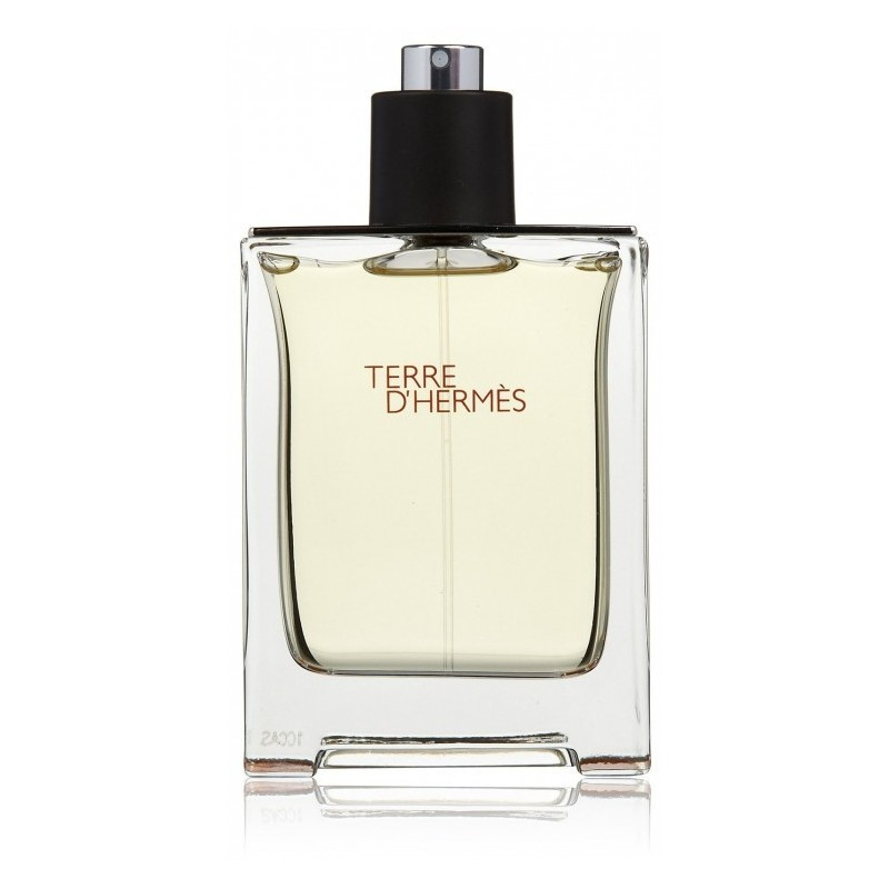 Мужские духи Terre d'Hermes 100ml - фото 4 - id-p174278816