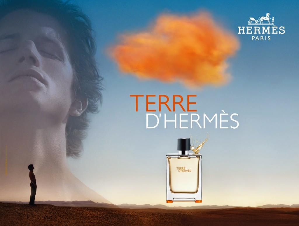 Мужские духи Terre d'Hermes 100ml - фото 5 - id-p174278816