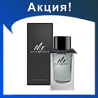 Мужские духи MR BURBERRY 100ml