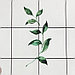 Полотенце "Этель" Flora (вид 2) 40х73 см, 100% хлопок, саржа 190 гр/м2, фото 3