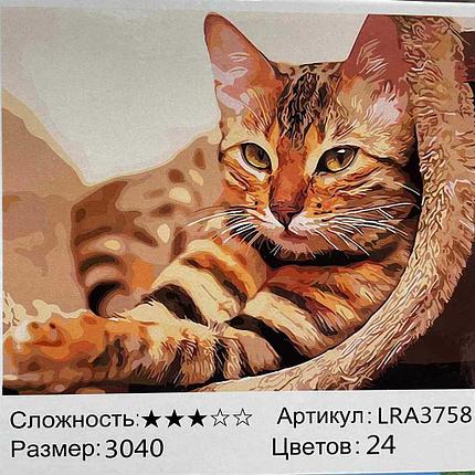 Рисование по номерам Котик (LRA3758), фото 2