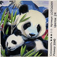 Картина по номерам Две панды (LOTG6099)