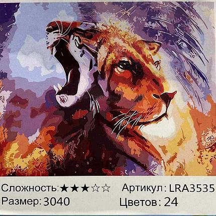 Картина по номерам Кошки в отражении (LRA3535), фото 2