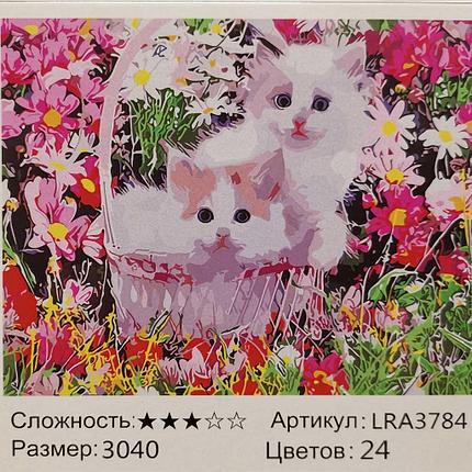 Раскраска по номерам Котята в лукошке (LRA3784), фото 2