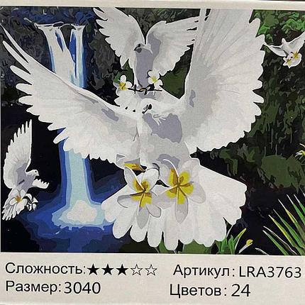 Рисование по номерам Белые голуби (LRA3763), фото 2