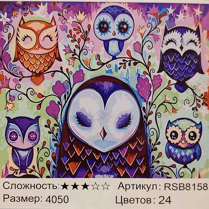 Рисование по номерам Семейство сов (RSB8158), фото 2