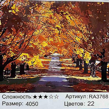 Картина по номерам Осенняя аллея (RA3768), фото 2
