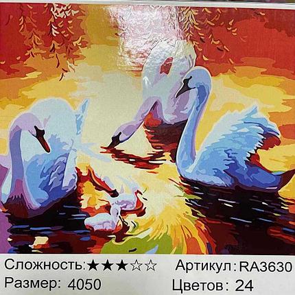 Картина по номерам Лебеди на пруду (RA3630), фото 2