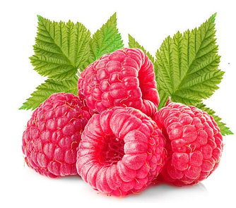 Саженцы Малины