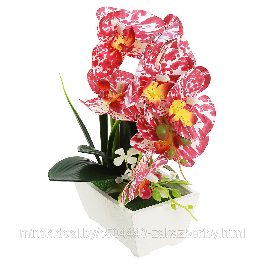 Орхидея, 5 веток, цвет в ассортименте | AliExpress
