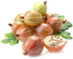 Саженцы Крыжовника