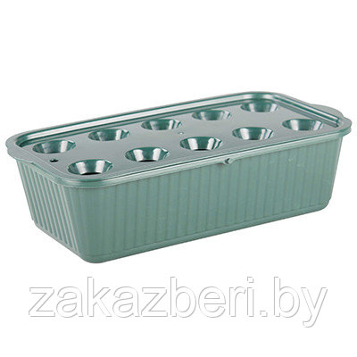 Ящик для зеленого лука пластмассовый 30х16х8см, 2,7л, со вставкой, темно-зеленый (Россия)