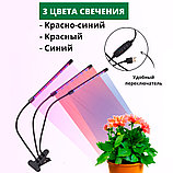 Светодиодная LED фитолампа для подсветки растений с тремя головками, фото 4