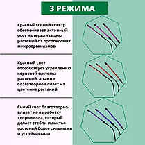 Светодиодная LED фитолампа для подсветки растений с тремя головками, фото 2