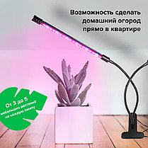 Светодиодная LED фитолампа для подсветки растений с тремя головками, фото 3