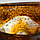 Ваза для цветов Волшебный мёд, винтаж, СССР, фото 6