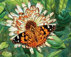 Картина стразами "Бабочка на цветке"