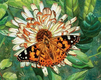 Картина стразами "Бабочка на цветке" - фото 1 - id-p21073887