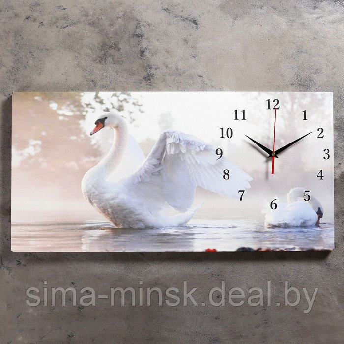 Часы-картина настенные, серия: Животный мир, "Белый лебедь", 40 х 76 см