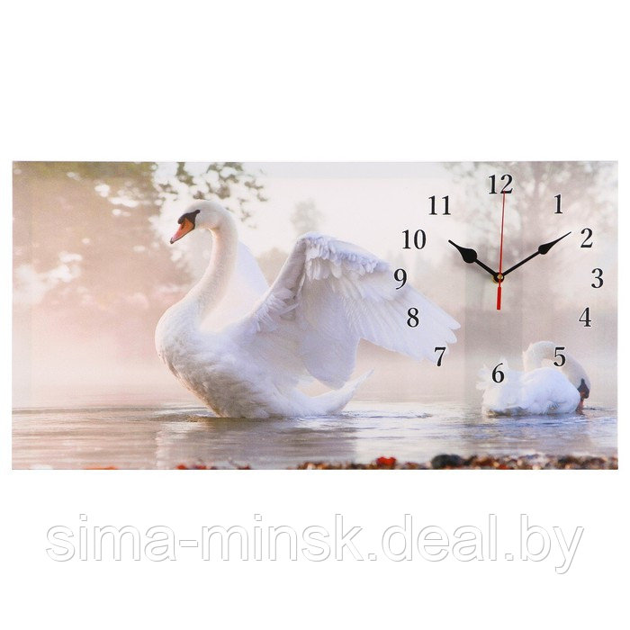Часы-картина настенные, серия: Животный мир, "Белый лебедь", 40 х 76 см - фото 5 - id-p174467629