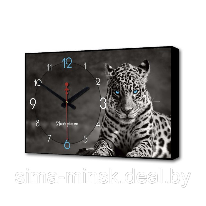 Часы-картина настенные, серия: Природа, "Леопард", плавный ход, 57 х 35 х 4 см, 1 АА - фото 1 - id-p174467693