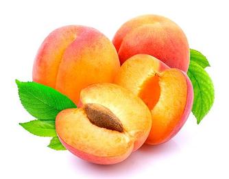 Cаженцы Абрикоса