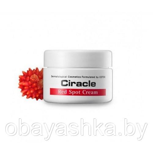 Крем лечебный для проблемной кожи CIRACLE Red Spot Cream - фото 1 - id-p174584874