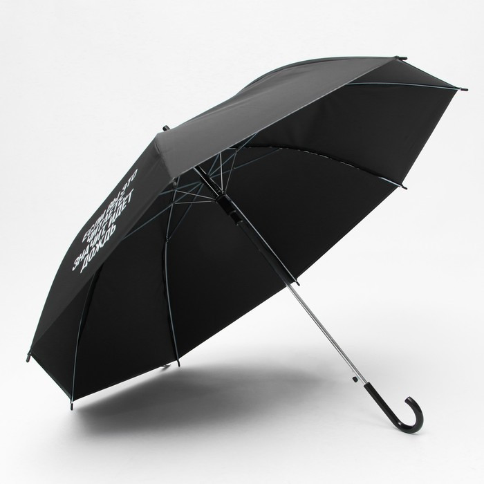 Зонть-трость «Если вы это читаете, идёт дождь», цвет черный, 8 спиц - фото 2