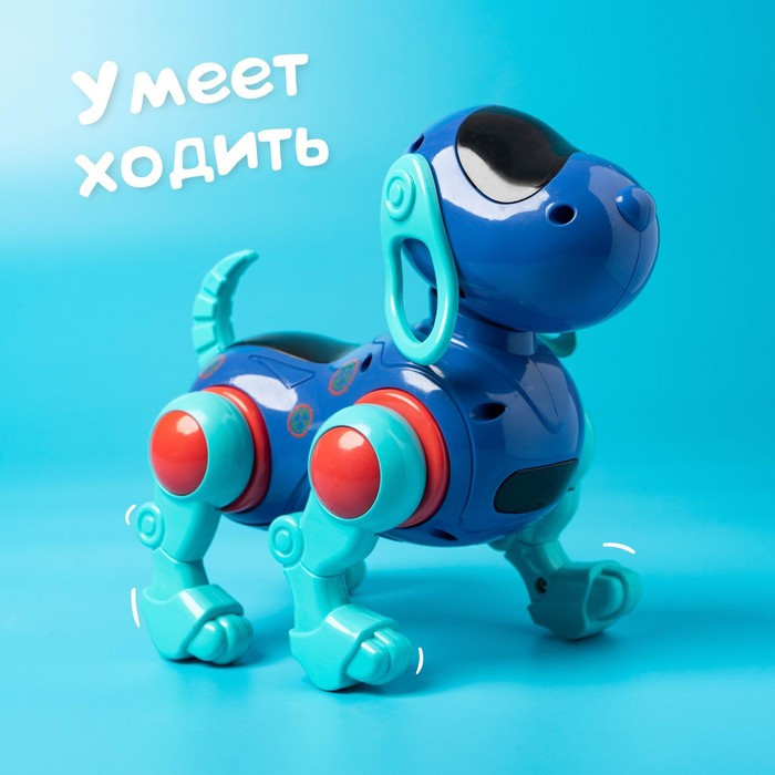 Робот-собака IQ DOG, ходит, поёт, работает от батареек, цвет синий - фото 4 - id-p167222695