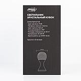 Световой прибор «Кубок» 10 см, свечение RGB, 220 В, белый, фото 10