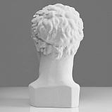 Гипсовая фигура Голова Гермеса, 22 х 27 х 46 см, фото 4