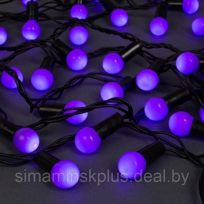 Гирлянда «Нить» 20 м с насадками «Шарики 1.5 см», IP44, тёмная нить, 200 LED, свечение фиолетовое, 8 режимов, - фото 1 - id-p174611302