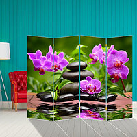 Ширма "Орхидеи. Гармония", 200 х 160 см