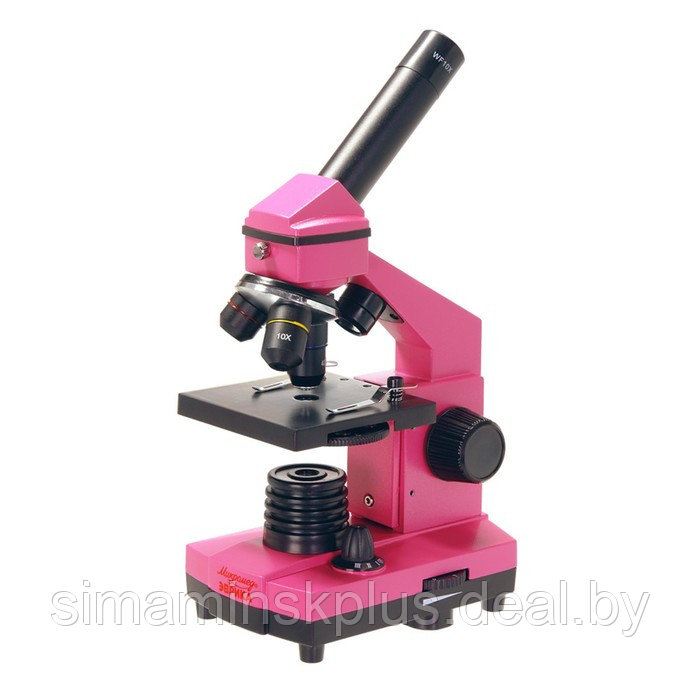 Микроскоп школьный Эврика 40х-400х в кейсе, цвет фуксия - фото 1 - id-p174632042