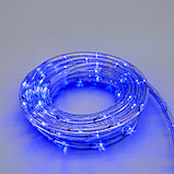 Световой шнур Luazon Lighting 10 мм, IP44, 5 м, 24 LED/м, 220 В, 8 режимов, свечение синее, фото 4