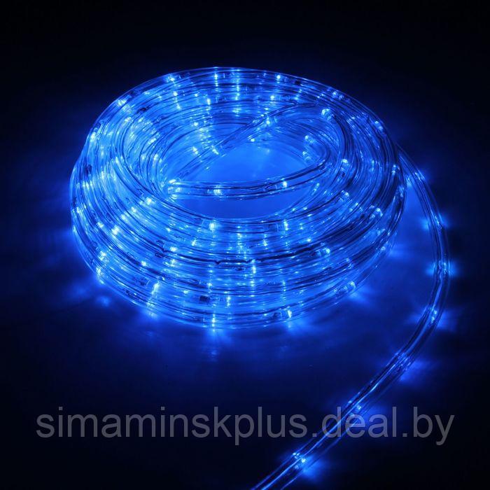 Световой шнур Luazon Lighting 10 мм, IP44, 5 м, 24 LED/м, 220 В, 8 режимов, свечение синее - фото 1 - id-p174611649