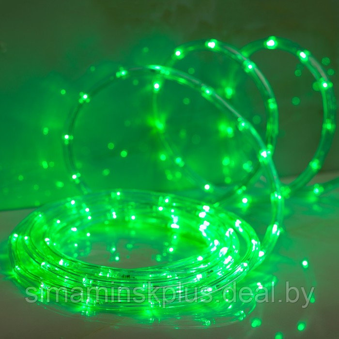 Световой шнур Luazon Lighting 10 мм, IP44, 5 м, 24 LED/м, 220 В, 8 режимов, свечение зелёное - фото 2 - id-p174611650