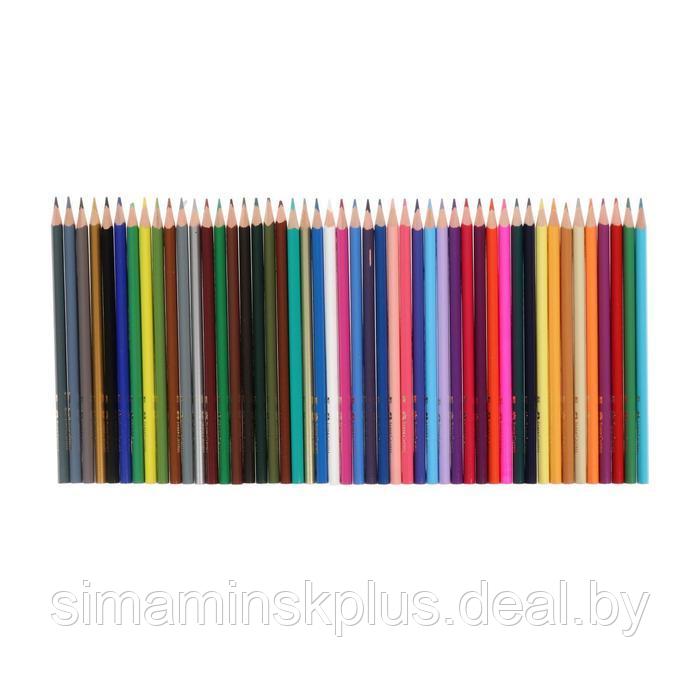Карандаши 48 цветов Faber-Castell Eco, трёхгранный корпус, с точилкой - фото 2 - id-p174630194